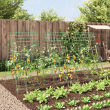 Plantenklimrekken A-Frame Staal