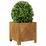 Plantenbakken Weervast Staal