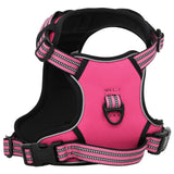 Hondentuigje Met Riem En Halsband Verstelbaar S Roze