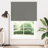 Rolgordijn Verduisterend 160X Stofbreedte 156,6 Cm Grijs
