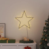 Kerstverlichting Ster Silhouet 115 Leds Warm Wit