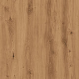 Schoenenkast Bewerkt Hout Artisanaal Eikenkleur