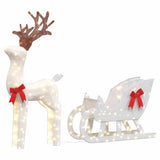 Kerstdecoratie Rendier En Slee 100 Led's
