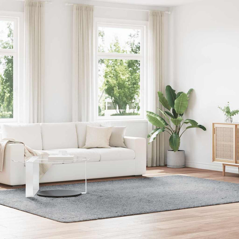 Hoogpolig Vloerkleed Navarra Polyester Zilvergrijs