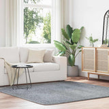 Hoogpolig Vloerkleed Navarra Polyester Lichtgrijs