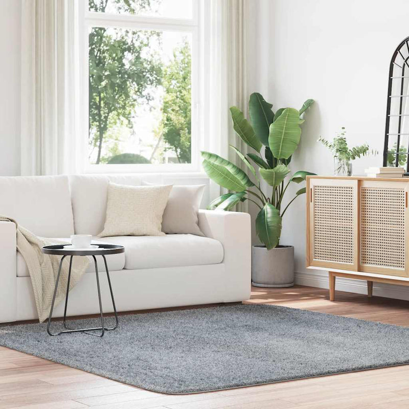 Hoogpolig Vloerkleed Navarra Polyester Zilvergrijs