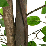 Kunst Ficus Plant 1260 Bladeren Groen