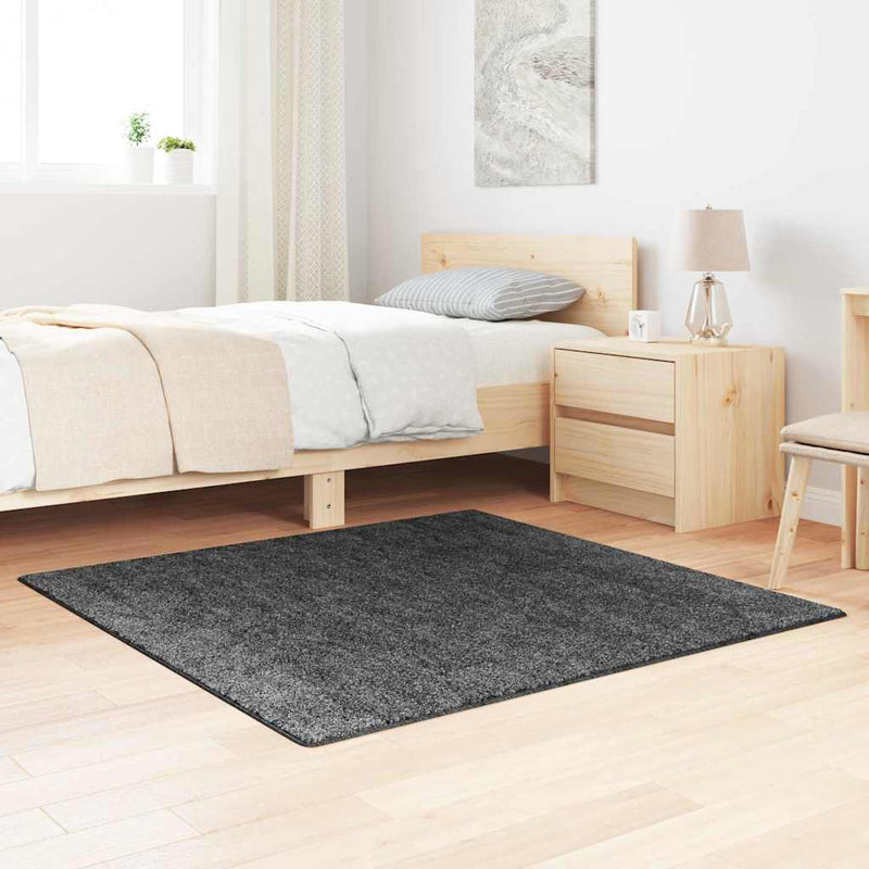 Vloerkleed Shaggy Anti-Slip