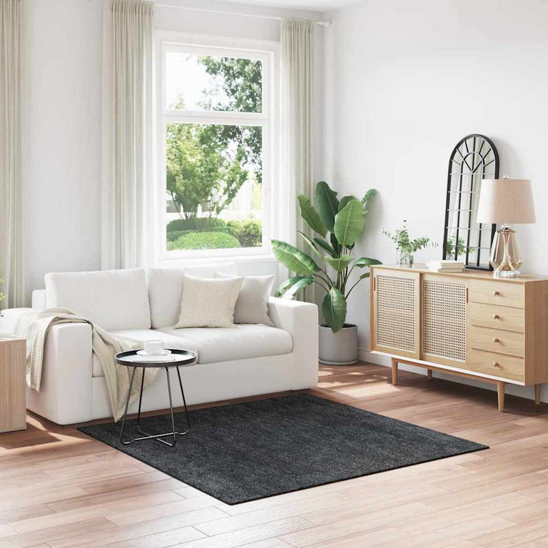 Vloerkleed Shaggy Anti-Slip