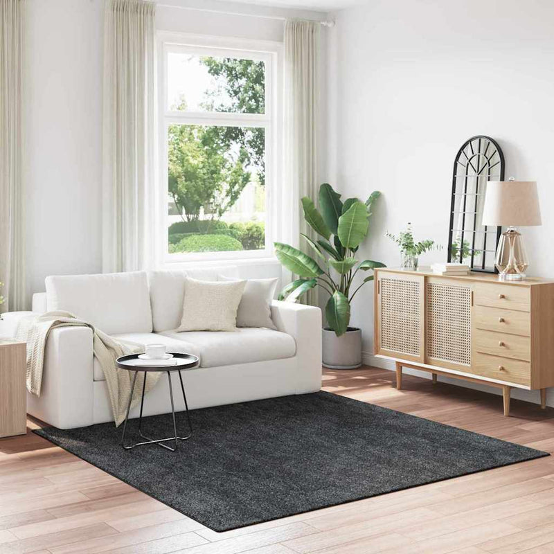 Vloerkleed Shaggy Anti-Slip