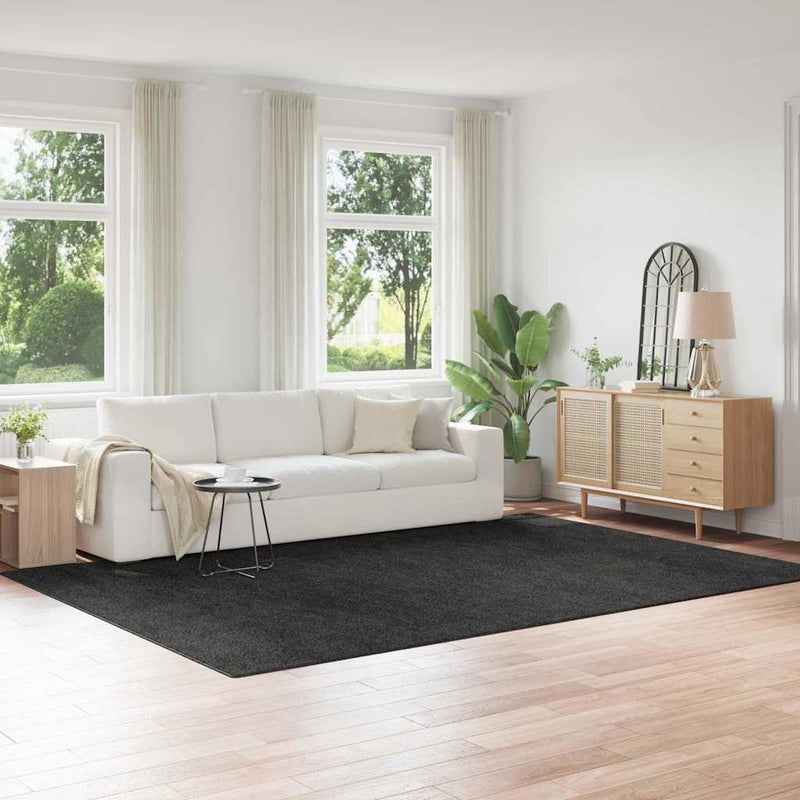 Vloerkleed Shaggy Anti-Slip