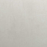 Plantenbak Roestvrij Staal