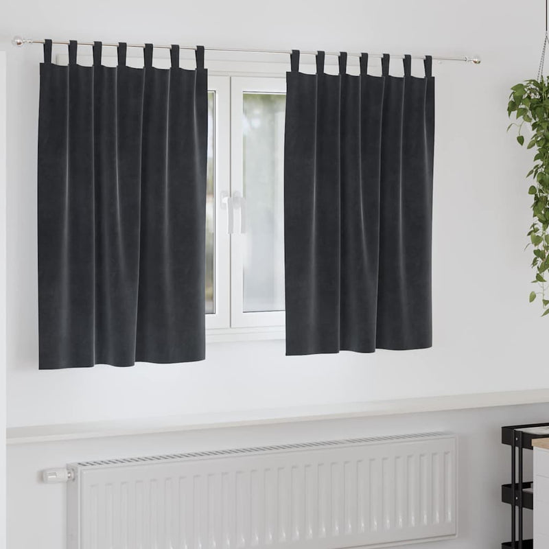 Gordijnen Met Gordijnen 2 Pcs Fluweel Donkergrijs