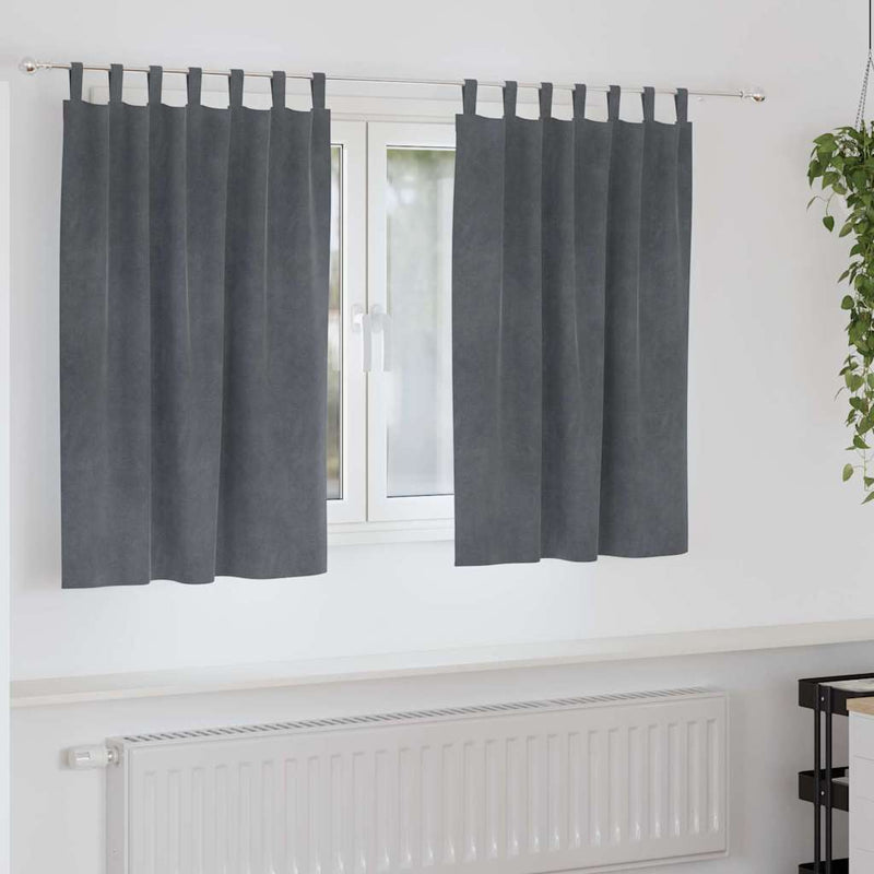 Gordijnen Met Gordijnen 2 Pcs Fluweel Lichtgrijs