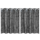 Velvet Gordijnen Met Gordijnen 2 Pcs Fluweel Grijs