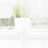 Kantgordijn Met Gordijnen Bloemen Wit 240 X 200 Cm Polyester Champagne