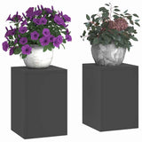 Plantenkasten 2 Pcs 24 X 24 X 35 Cm Staal