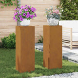 Plantenkasten 2 Pcs 24 X 24 X 35 Cm Staal