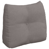 Rugkussen Stof Taupe
