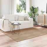 Vloerkleden Rechthoekig Agira Naturel 150 X 80 Cm Polyester