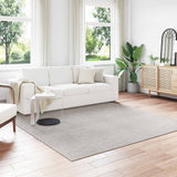 Vloerkleden Rechthoekig Lugo 150 X 80 Cm Polyester