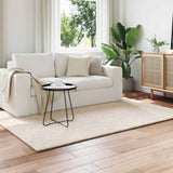 Vloerkleden Rechthoekig Sirolo 150 X 80 Cm Polyester