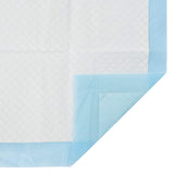 Niet-Geweven Stof Huisdier Trainingspad 50 Pcs Blauw En Wit