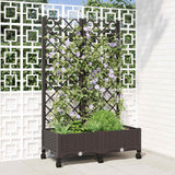 Plantenbak Met Trellis Pp