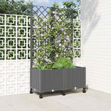 Plantenbak Met Trellis Pp