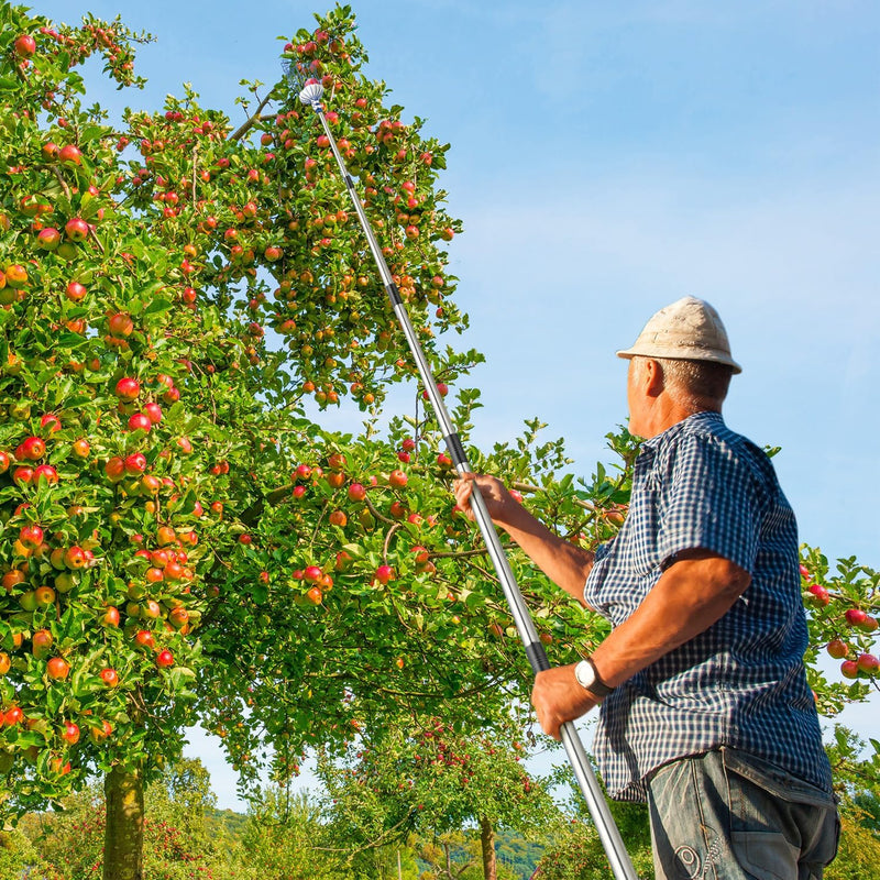 Fruitplukker met telescopische steel tot 4 meter - Fruitgrijper MaidMAX