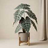 Alocasia Bush In Pot 40 Cm - Artificial Plant