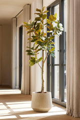 Magnolia Denudata - 150 Cm - Artificial Tree