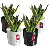 Bloempot, plantenpot van kunststof - decoratieve pot voor planten, UV-bestendige bloempot - diameter 19,5 cm - KADAX