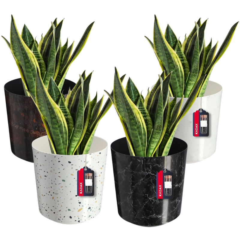 Bloempot, plantenpot van kunststof - decoratieve pot voor planten, UV-bestendige bloempot - diameter 19,5 cm - KADAX