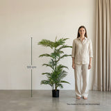 Palm Phoenix - 120 Cm – Artificial Plant