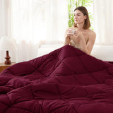 4 Seizoenen dekbed - all-seasons- quilt 300 gsm microvezel - Diverse maten - Bordeaux, WAVVE