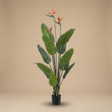Strelitzia With Flowers – 120 Cm – In Black Pot – Artificial Plant