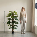 Monstera On Pole 150 Cm - Artificial Plant
