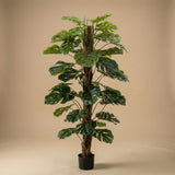 Monstera On Pole 150 Cm - Artificial Plant