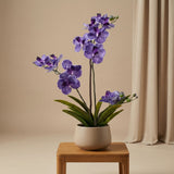 Artificial Orchid Vanda 60 Cm - Purple In Pot - Artificial Plant