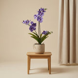 Artificial Orchid Vanda 60 Cm - Purple In Pot - Artificial Plant