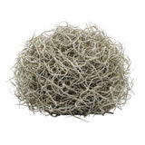 Dried Tillandsia Moss – 1L – Decorative - 100% Natural